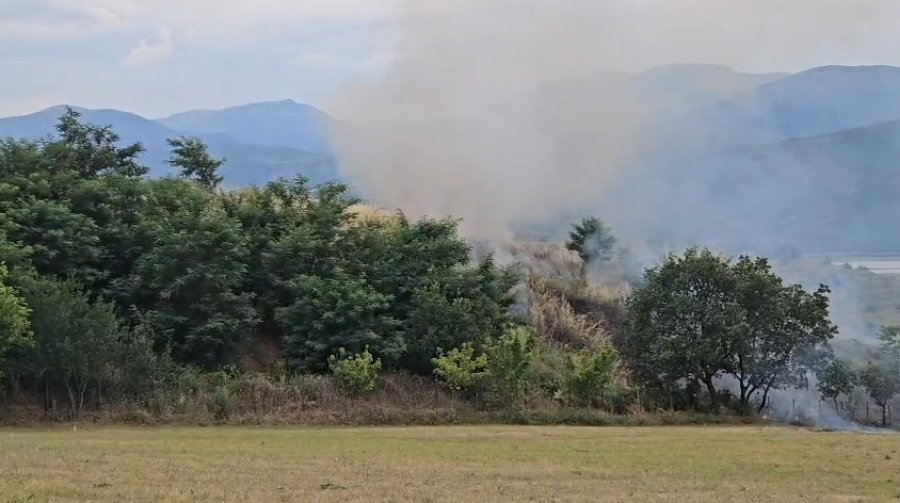 Vatër zjarri pranë Aeroportit të Kukësit, ndërhyjnë zjarrfikësit