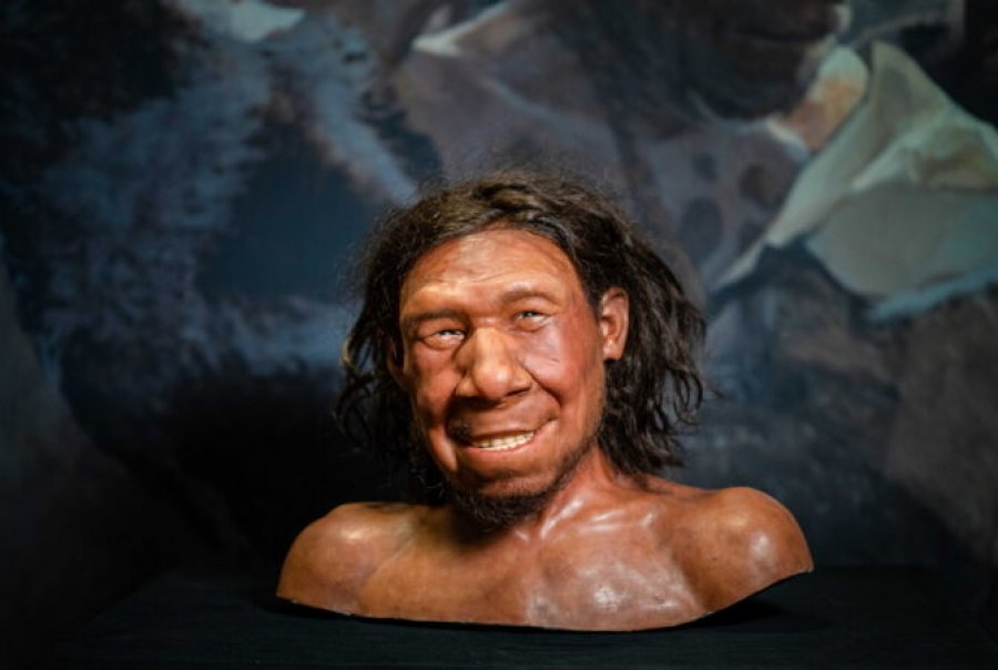Burra Neandertalë dhe gra Homo sapiens, studimi zbulon tendencën e çiftëzimit që formësoi ADN-në tonë