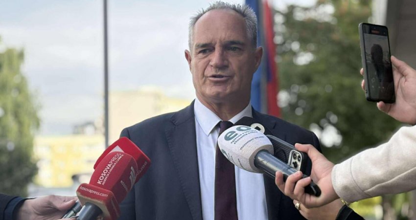 Nait Hasani i PDK-së tregon a e voton Andin Hotit për president