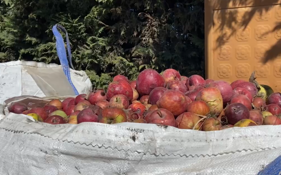 Fermerët e Zvirinës në vështirësi: kostot rriten, prodhimi mbetet pa treg