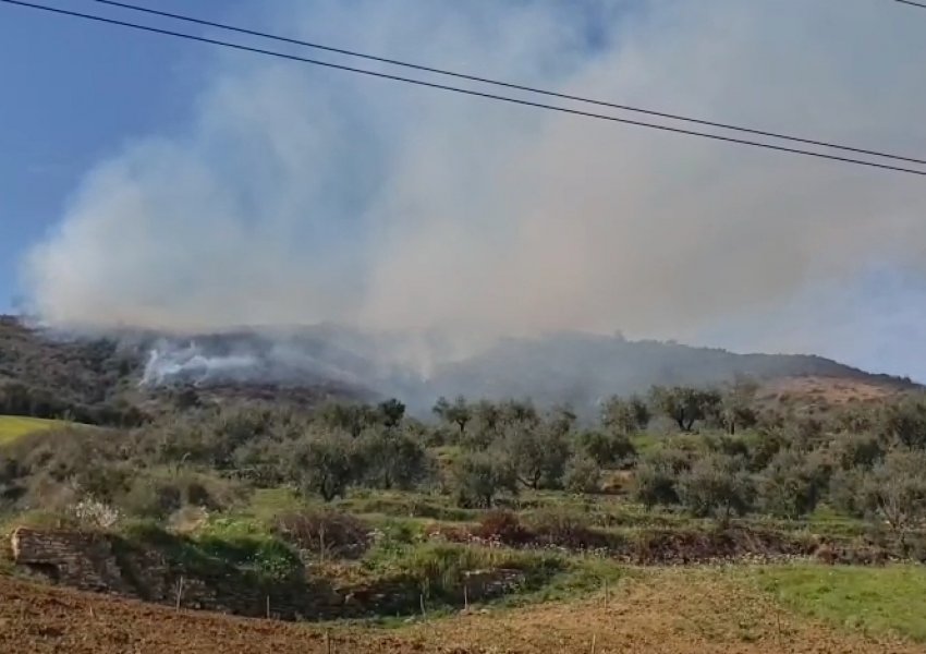 Ullishtet përfshihen nga flakët në Berat, zjarrfikësit në vendngjarje