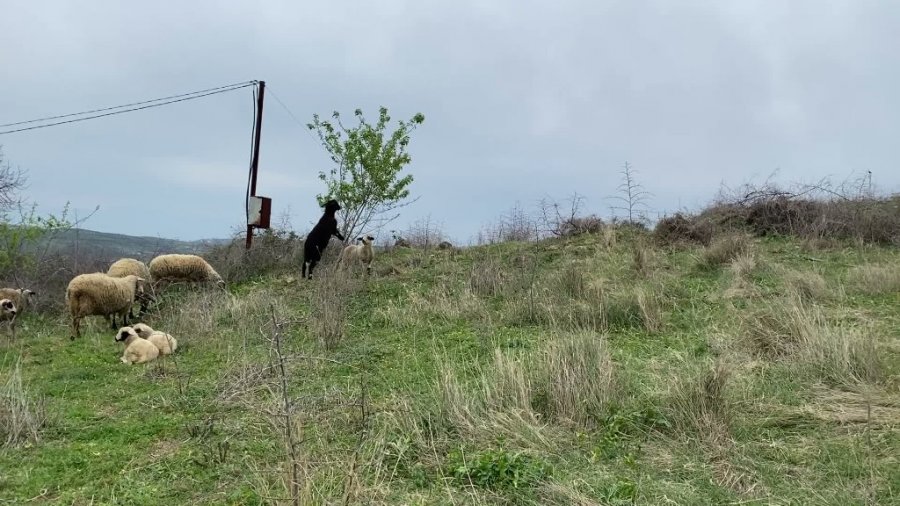 Arkeologët zbulojnë pjesë të një ndërtese të lashtë në Lushnje