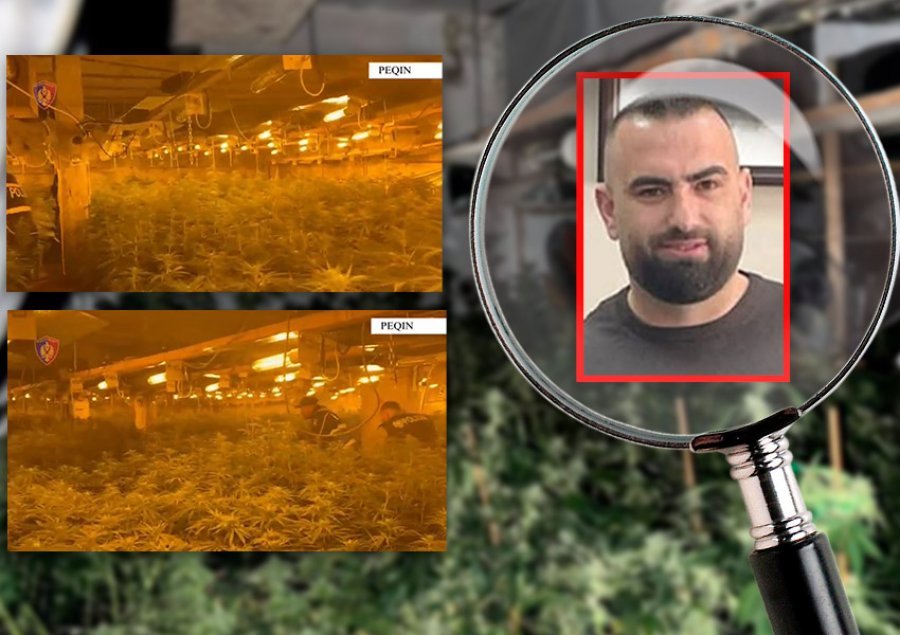 Dorëzimi me regji pasi ishte në kërkim për ‘shtëpi bari’ -  Lirohet drejtori i burgut të Rrogozhinës