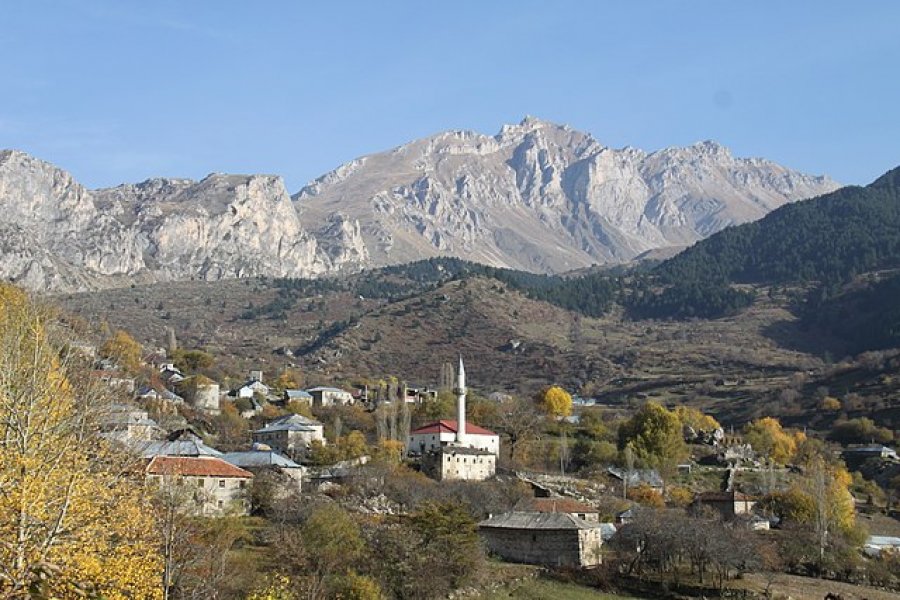 Plagoset turisti polak në Dibër, sillet me urgjencë në Tiranë