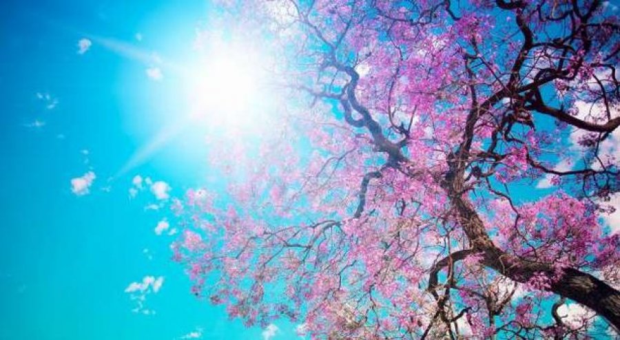 Ditë me diell, njihuni me parashikimin e motit për sot! Sa do të jenë temperaturat 