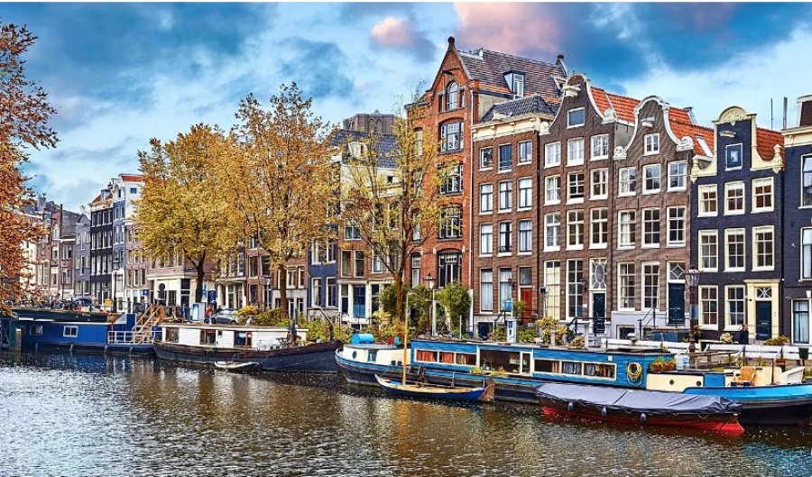 A i ka ndaluar Amsterdami reklamat e mishit për të shmangur ofendimet ndaj myslimanëve?