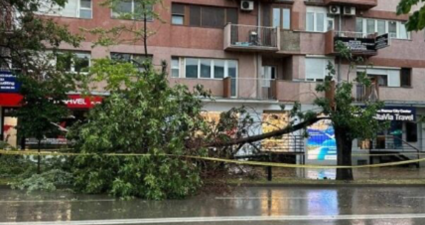 Erërat e forta, Komuna thirrje qytetarëve: Kujdes kur ecni në parqe dhe gjatë parkimit të veturës afër pemëve