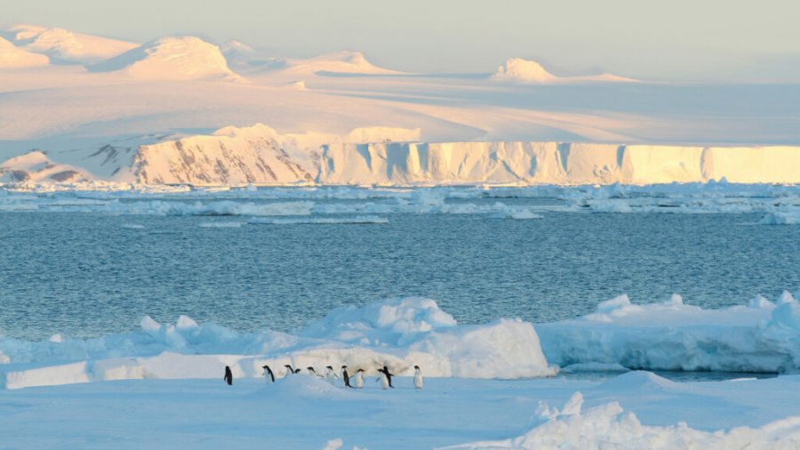 Zbulohet pluhur yjor në akujt e Antarktidës