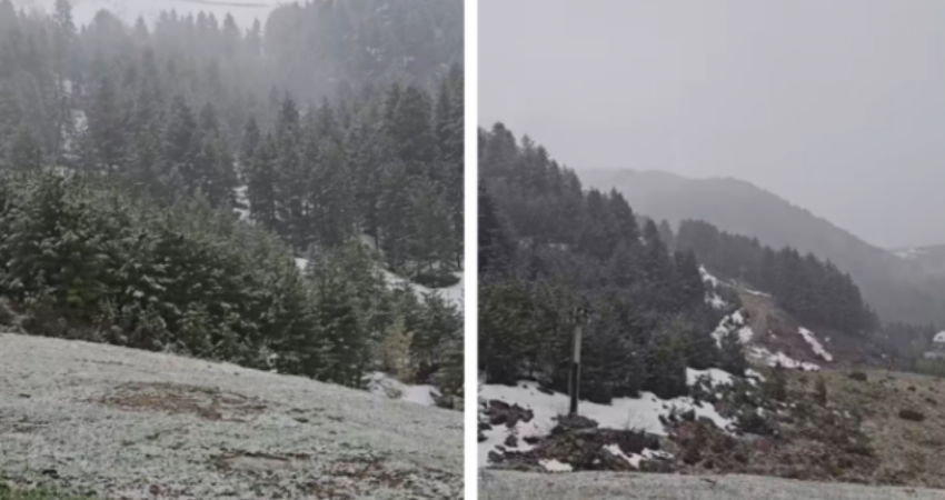 Bora zbardh Brezovicën, pamje