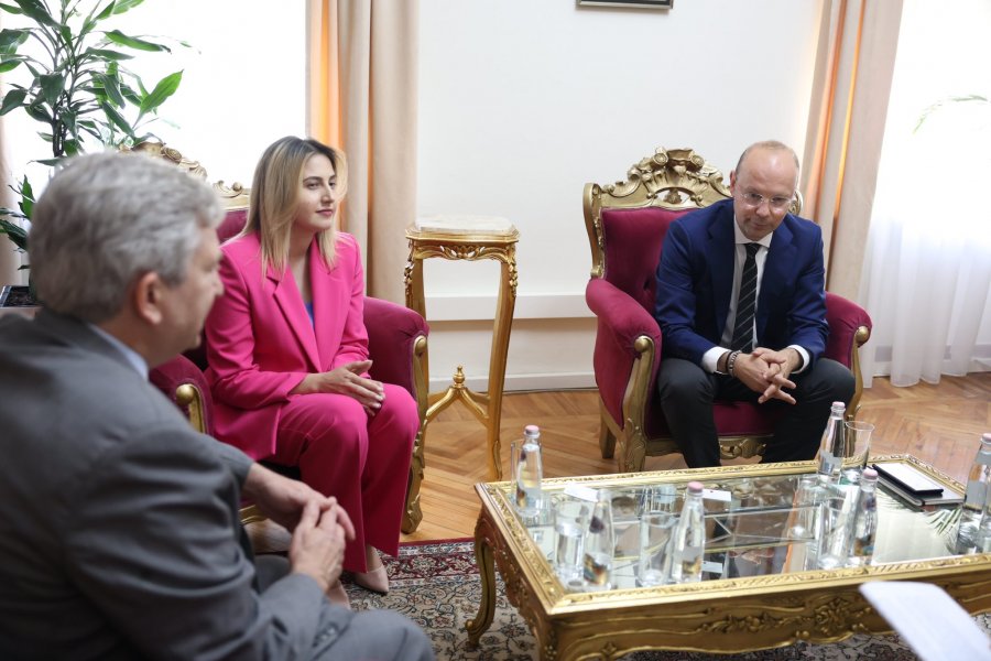 Zhupa dhe Kaso takohen me përfaqësues të NDI, në fokus demokracia dhe zgjedhjet