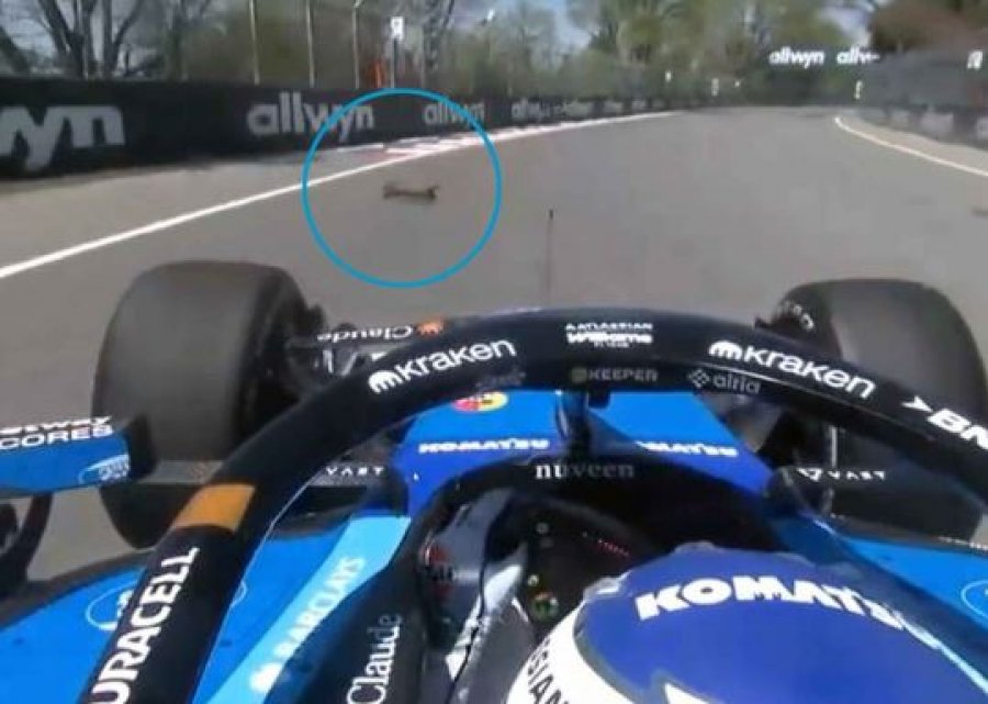 VIDEO/ Fundjava e Formula 1 në Kanada nis me telashe, piloti shtyp ketrin dhe bën aksident të rëndë