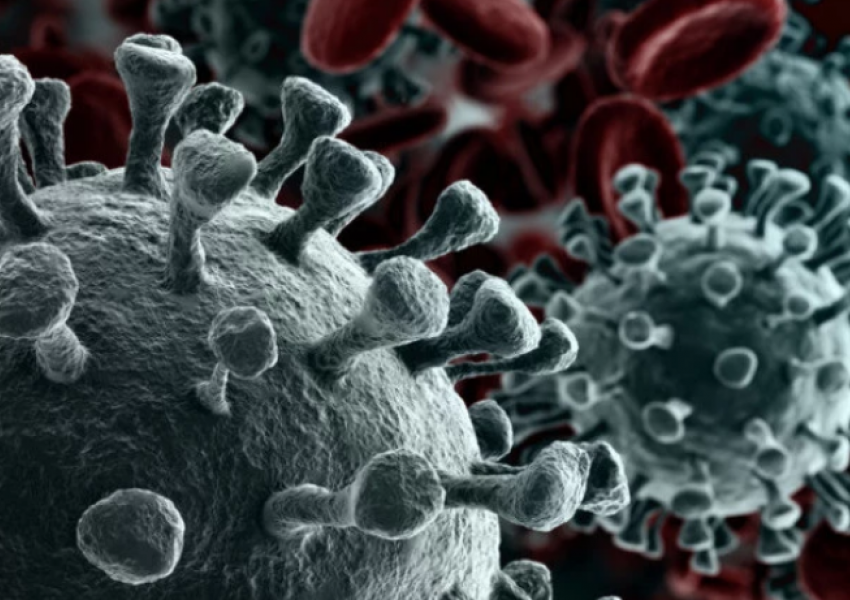 Dy raste të reja me Ebola në Ugandë, numri i të prekurve shkon në shtatë